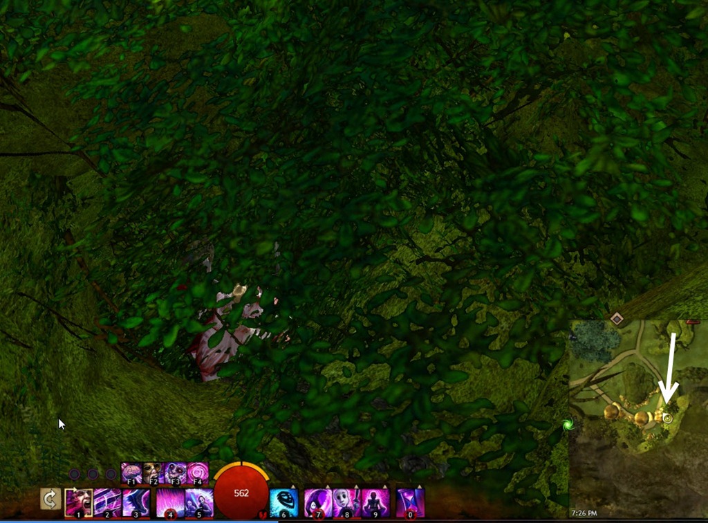 GW2 Spelunker’s Delve Caledon Forest jumping puzzle guide MMO Guides
