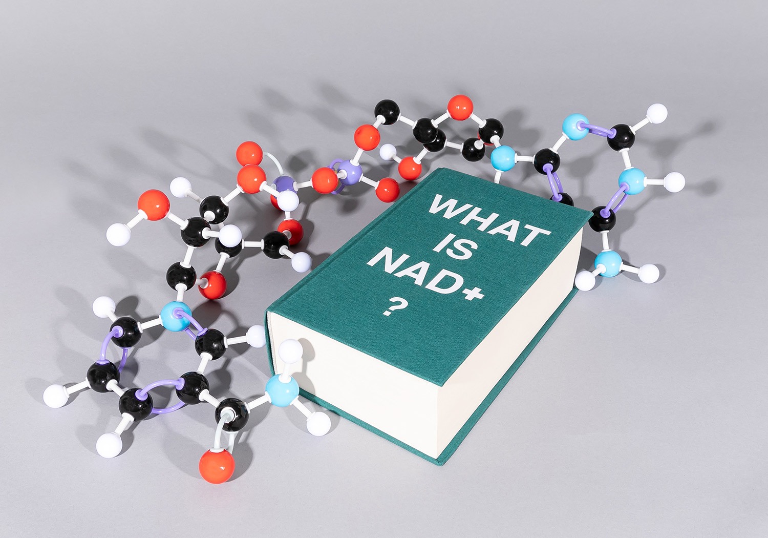NAD+ Science 101 What Is NAD+ & Why It's Important Elysium Health
