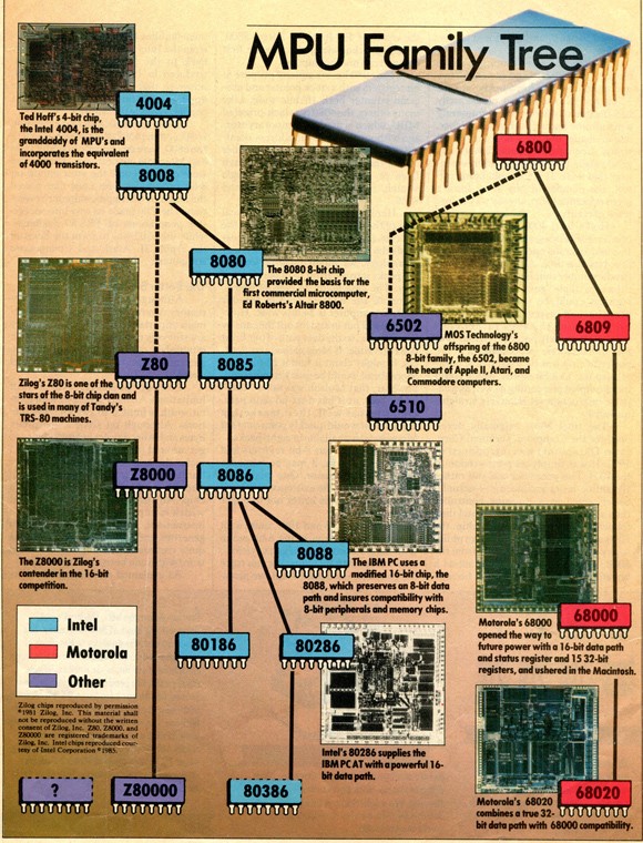6502 microprocessor architecture