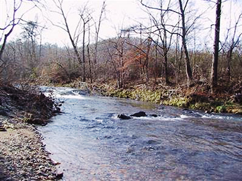 Big Fork Creek Encyclopedia of Arkansas