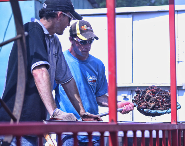 Dermott Arkansas Crawfish Festival 2022 Spring Festival 2022