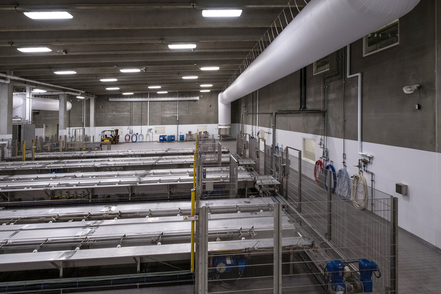 Agropur Cheese Feta Expansion Mechanical Engineering Mechanical