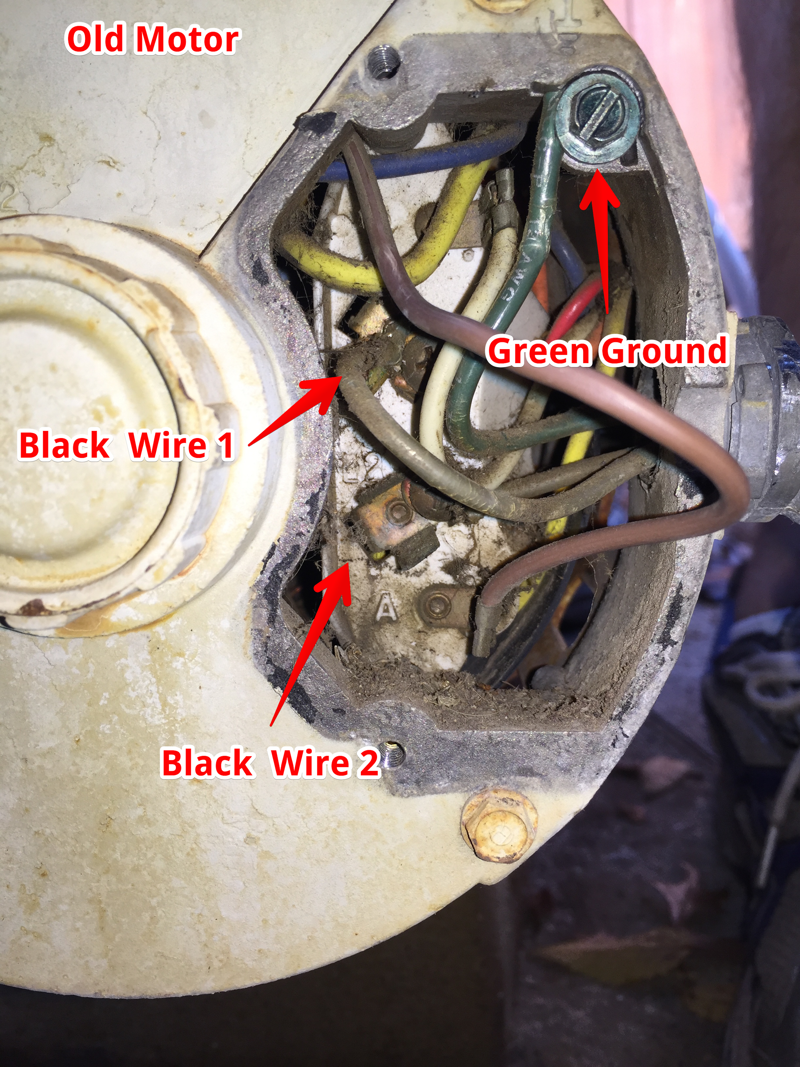Wiring 2-Speed Whisperflo Motor & Compool Relay | Trouble Free Pool