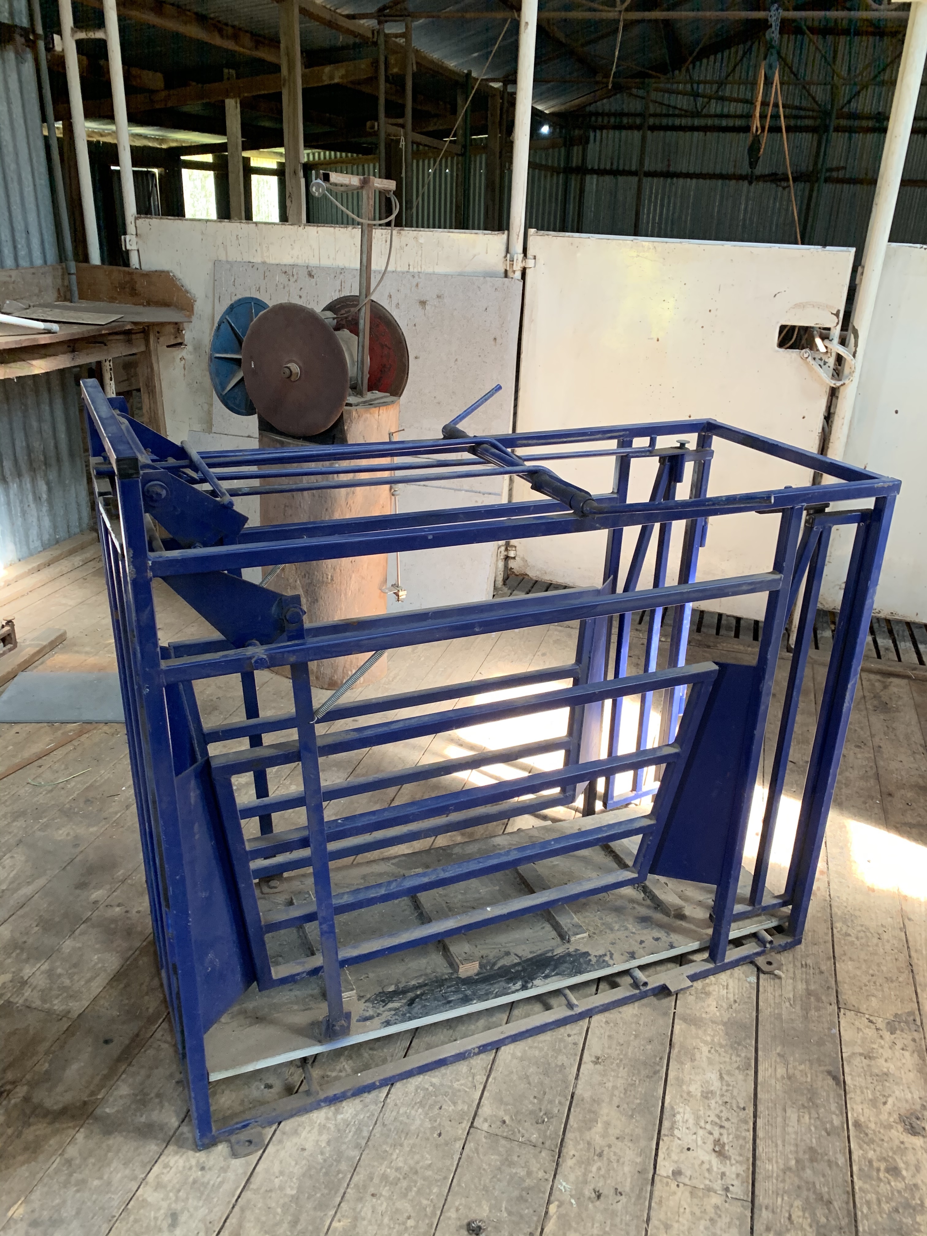 True test sheep weighing crate. Livestock Equipment Sheep