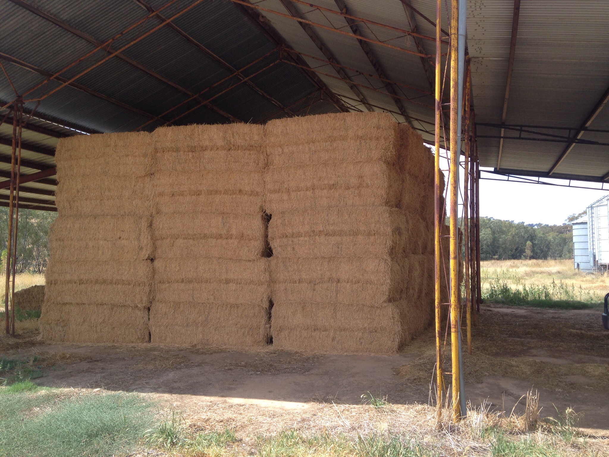Lucerne Hay Hay & Fodder Lucerne Hay For Sale