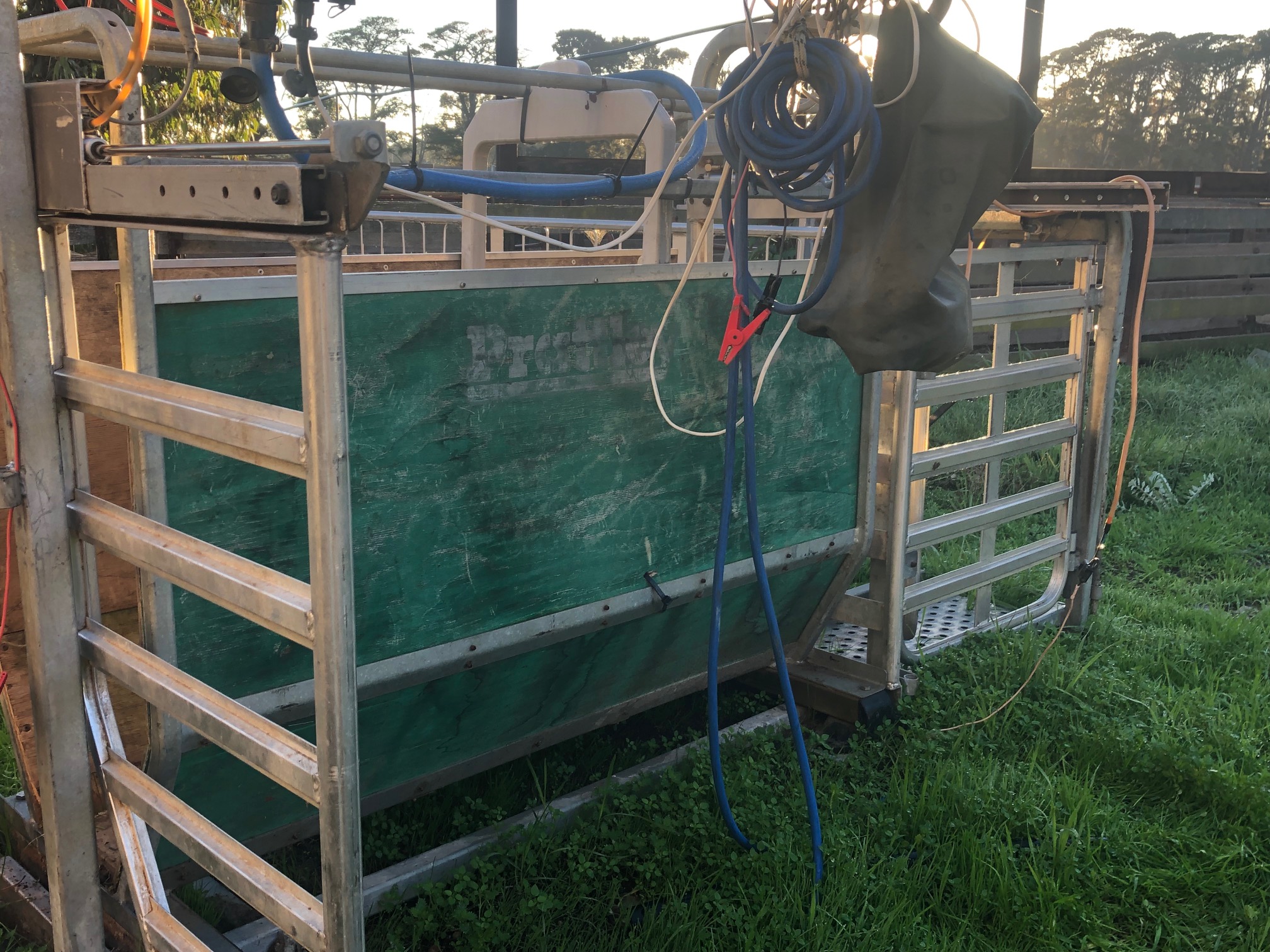 Prattley Weigh Crate Livestock Equipment Livestock Handling