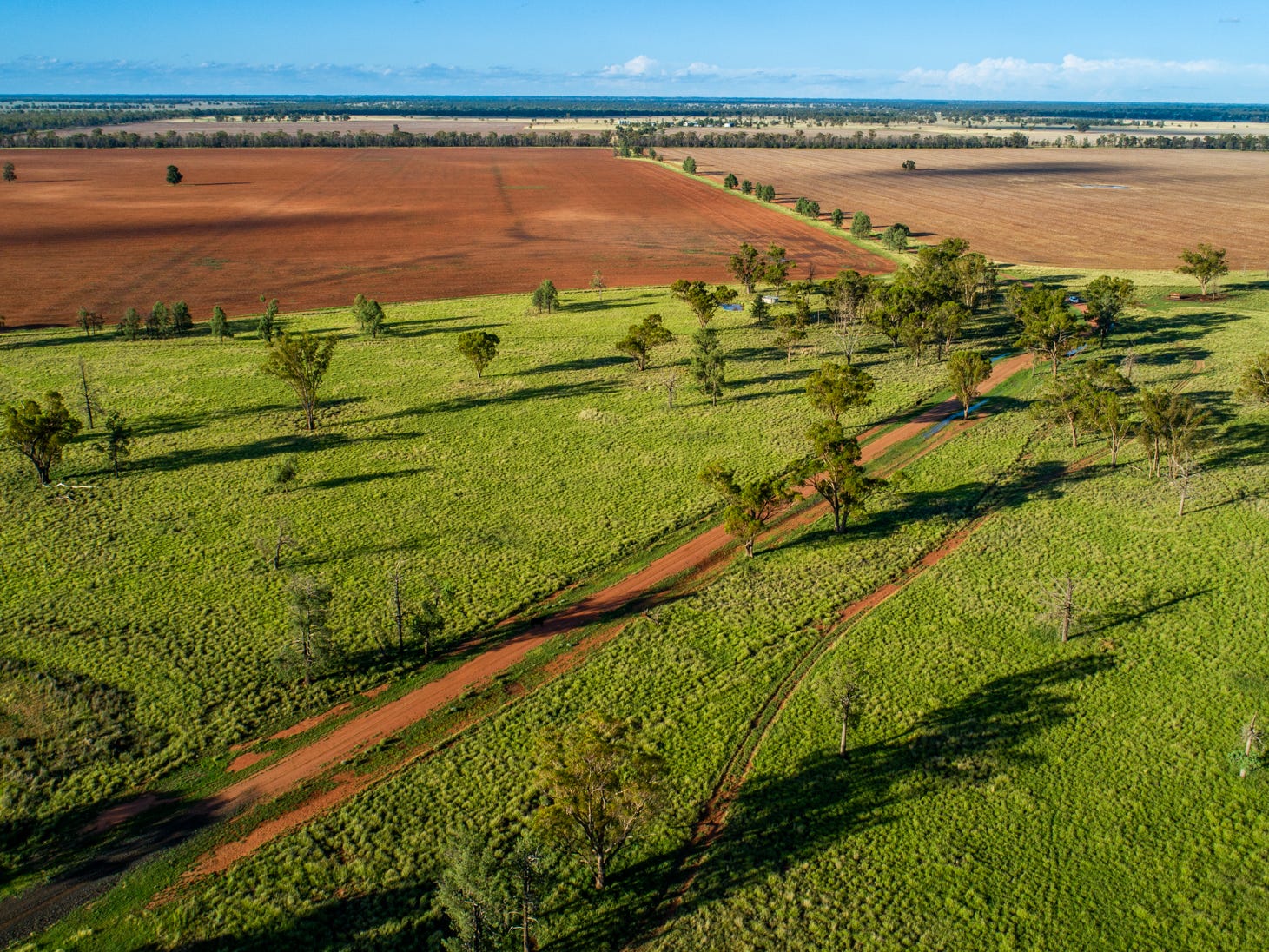 Farm For Sale in Coonamble, NSW 2829 ‘benah’