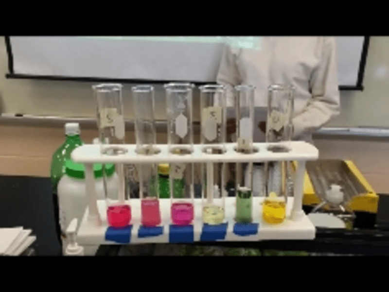 Eleventh grade Lesson Using a Universal Indicator to Identify Acids and