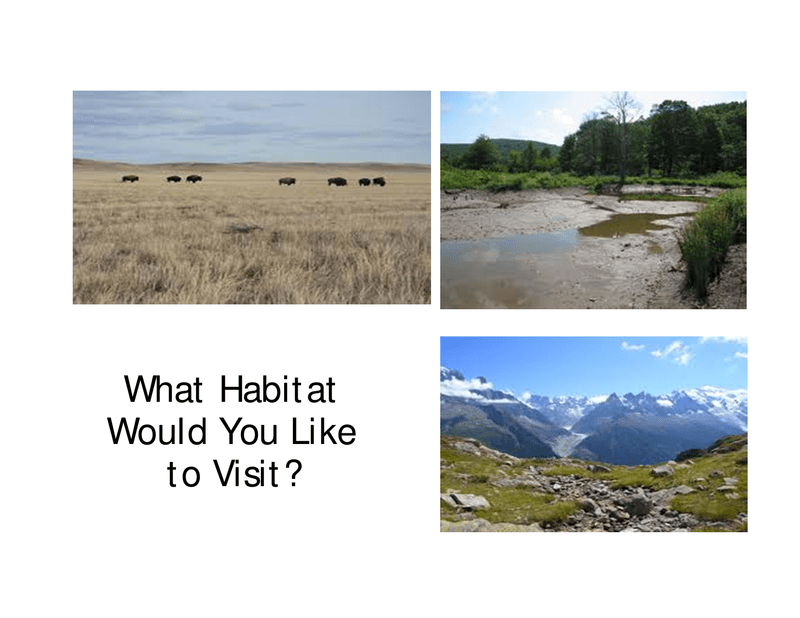 Second grade Lesson What Other Habitats Are There? BetterLesson