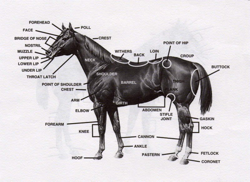 Sixth grade Lesson LearnaWord Science Vocabulary Acquisition