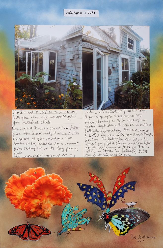 PETER HUTCHINSON Artists Freight+Volume