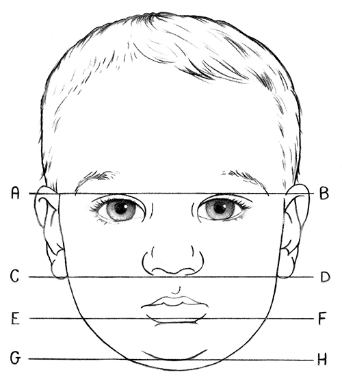 6.1.R1 Basic Facial Proportions Infant to Adult Drawspace