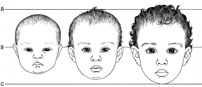 6.1.R1 Basic Facial Proportions Infant to Adult Drawspace