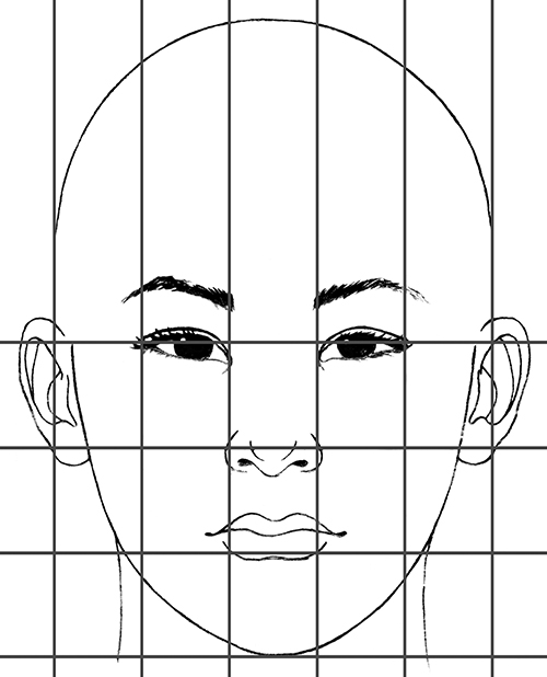 6.1.R1 Basic Facial Proportions Infant to Adult Drawspace