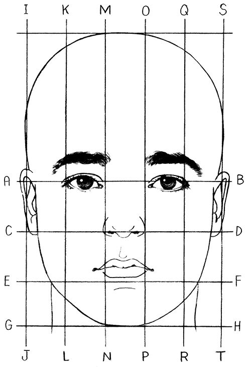 6.1.R1 Basic Facial Proportions Infant to Adult Drawspace