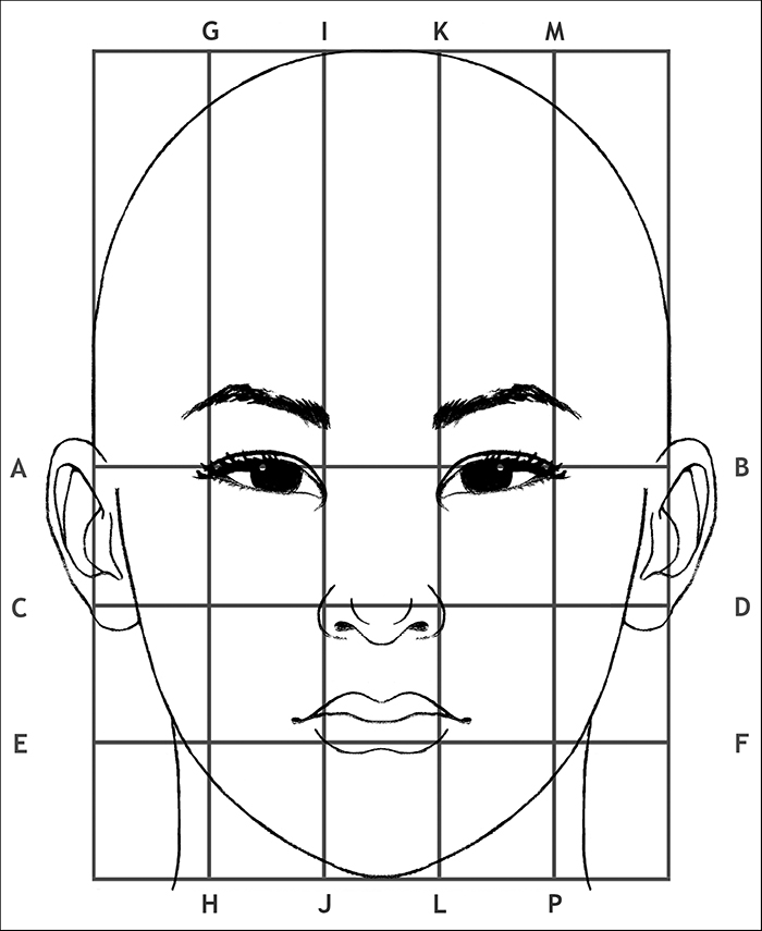 6.1.A2 Use Guidelines to Draw an Adult Face Drawspace