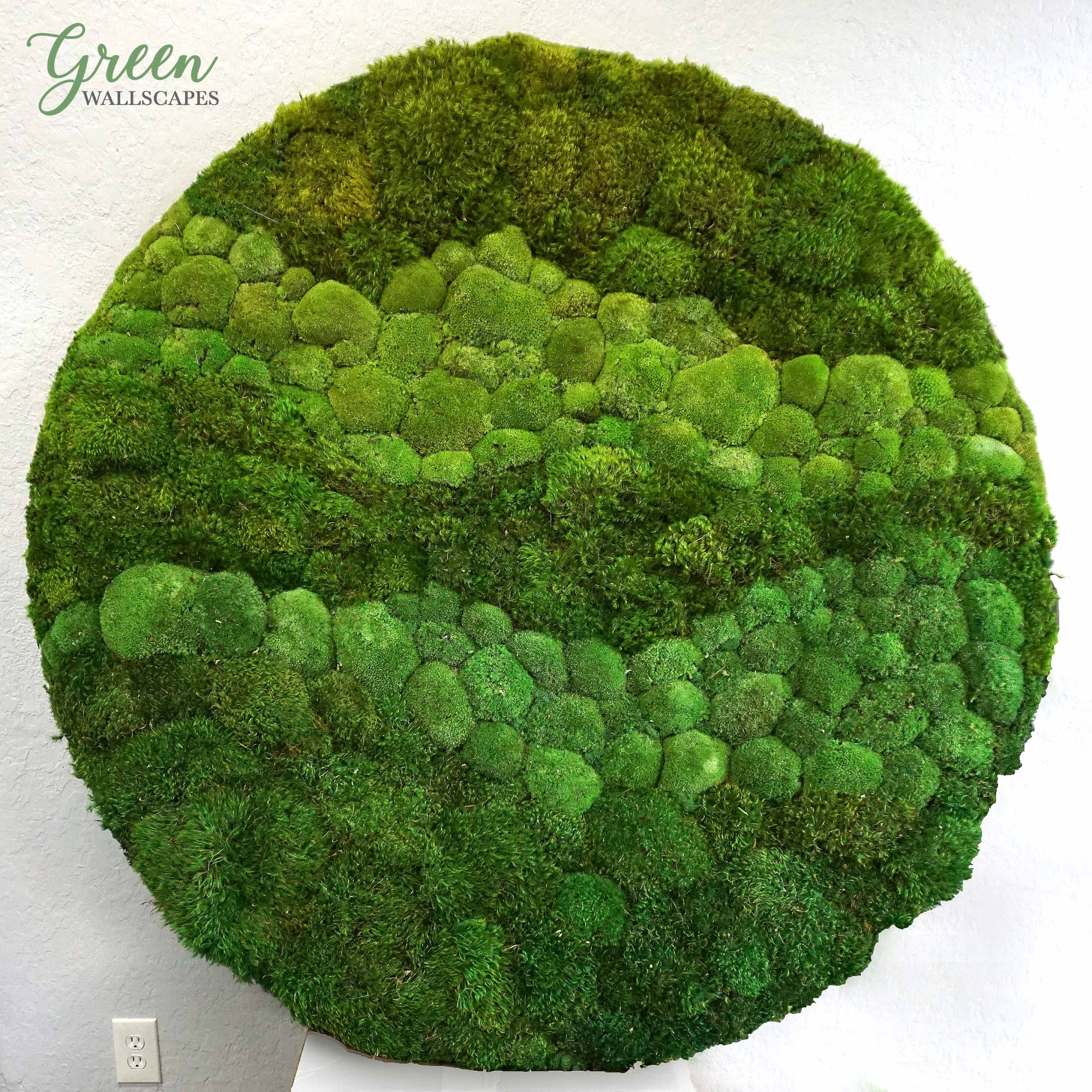 Large Moss Circle