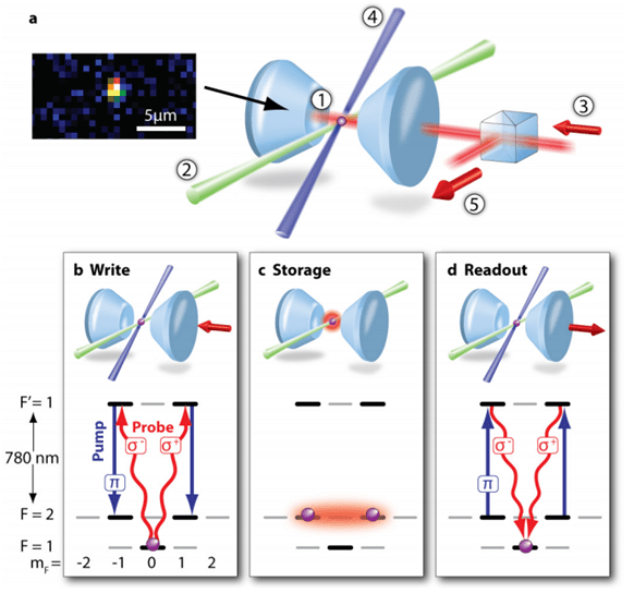 Physicists Build Single Atom Memory For Quantum Information MIT