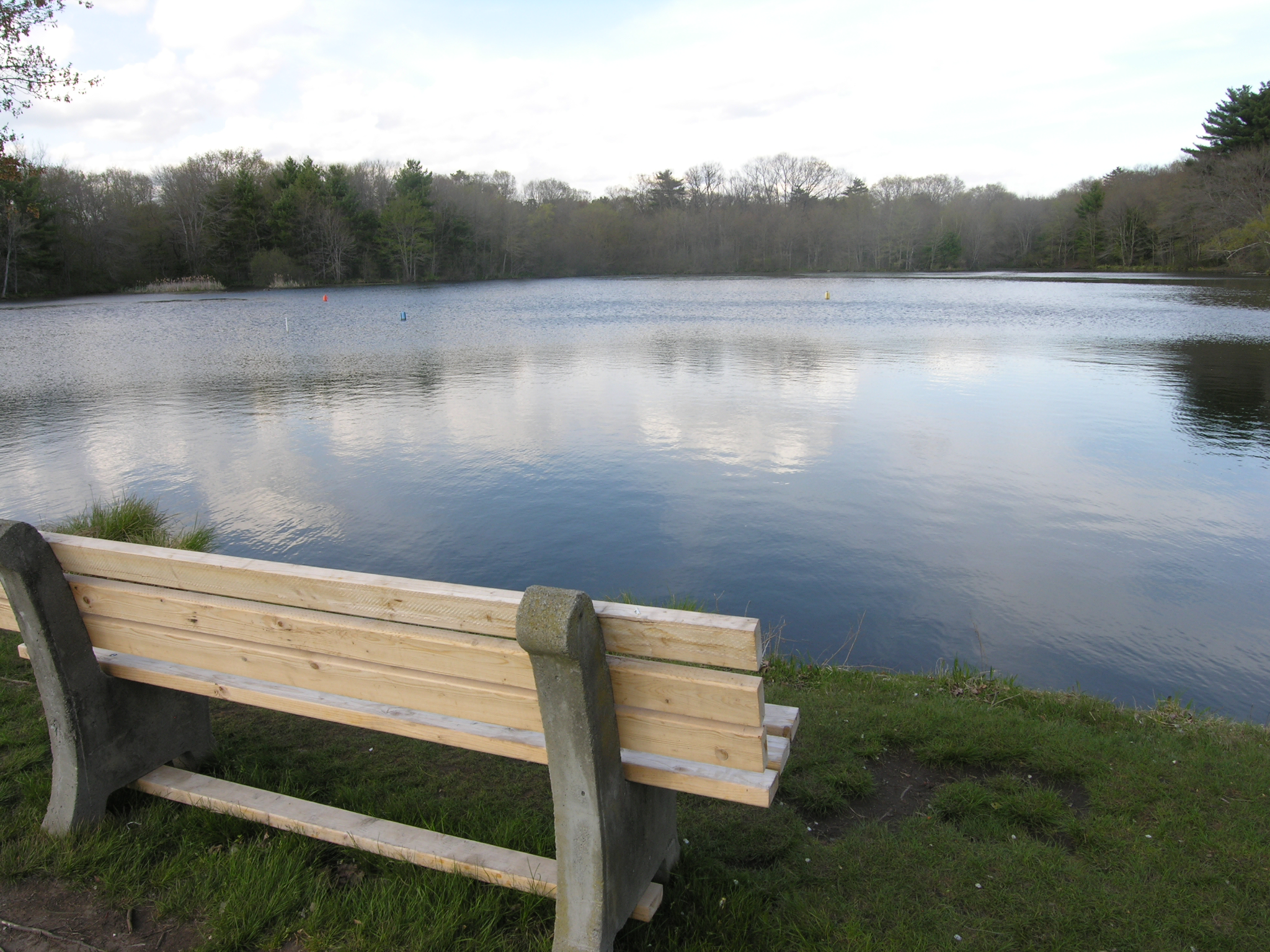 Needham MA Real Estate Needham Homes