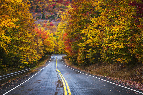 Derry Community Info Living in Derry NH