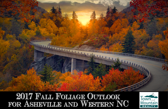 Asheville and Western NC Fall Foliage Outlook for 2017!