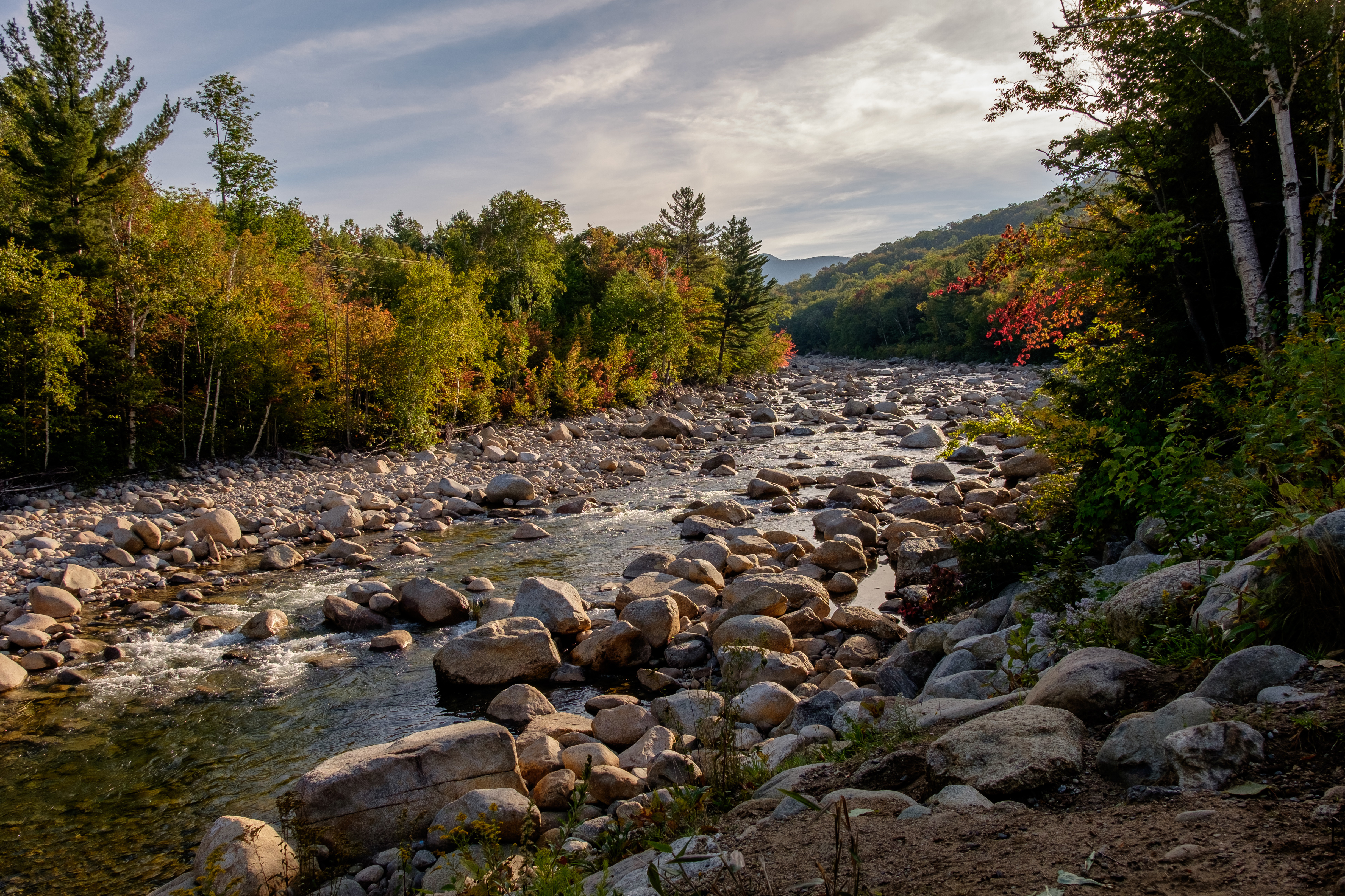 Laconia NH Real Estate Susan Bradley Coldwell Banker