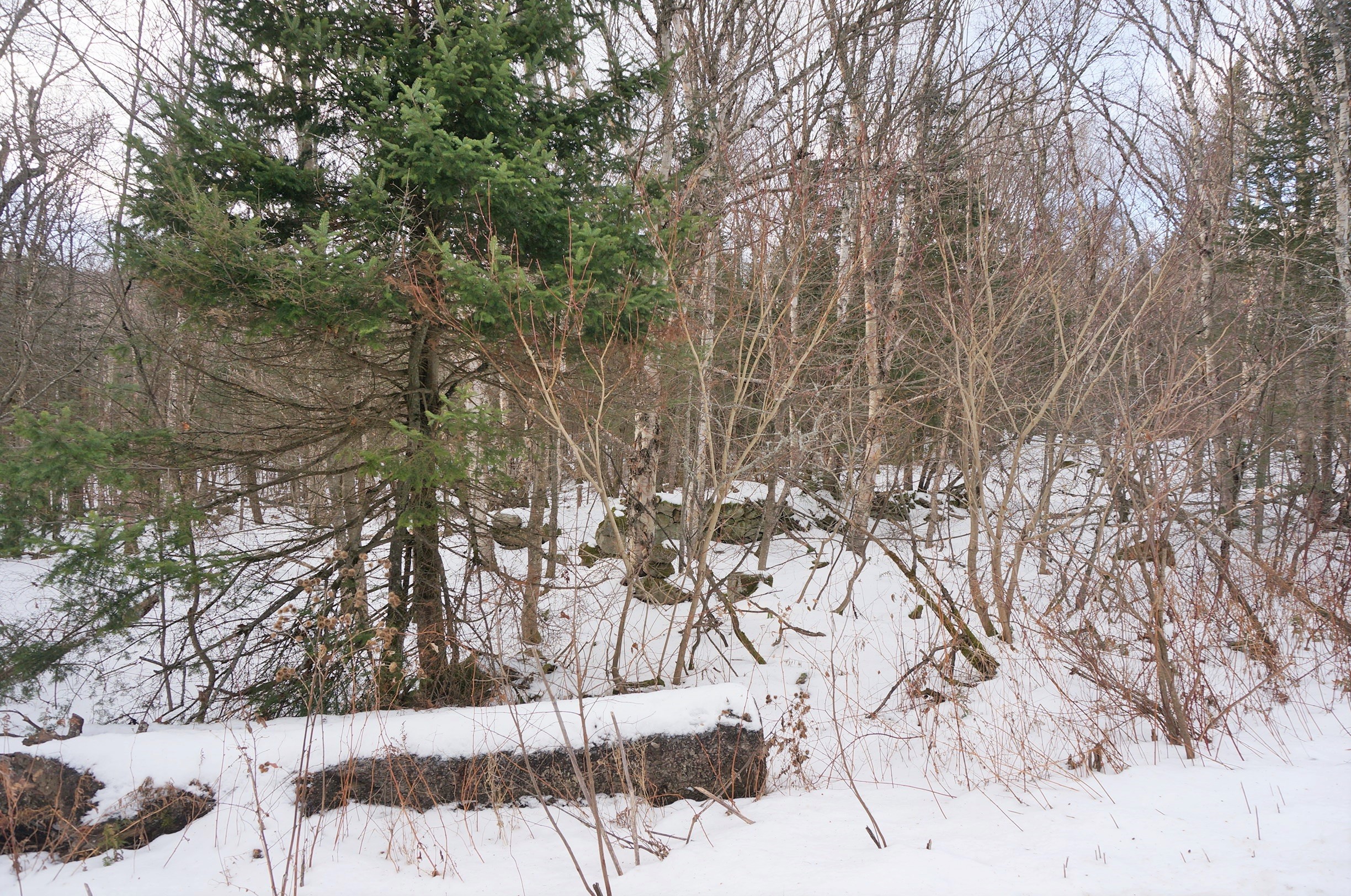 land for sale, Newark VT, timber, recreation, hunting, wooded