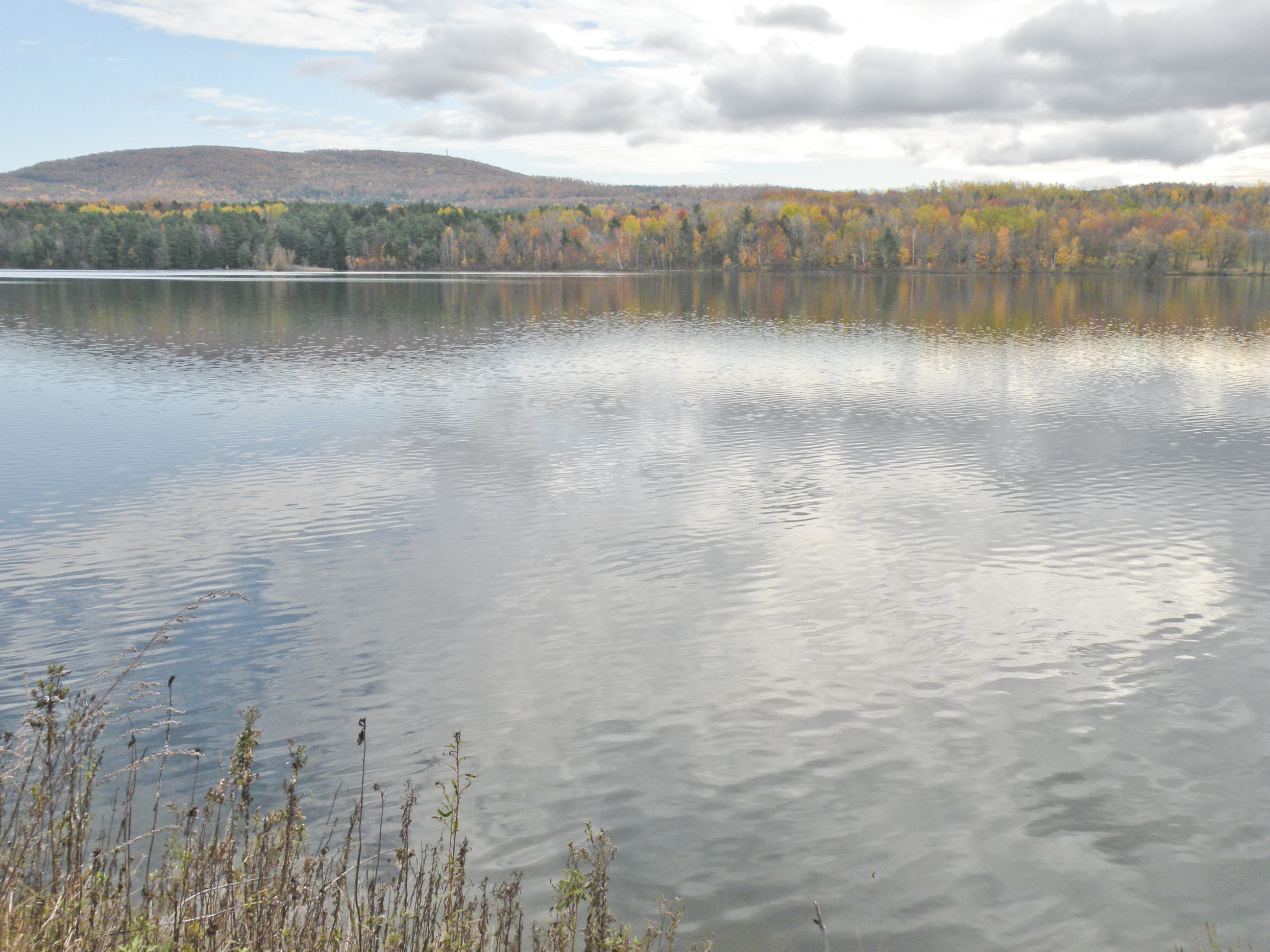 Town of Milton VT Information Geri Reilly Real Estate