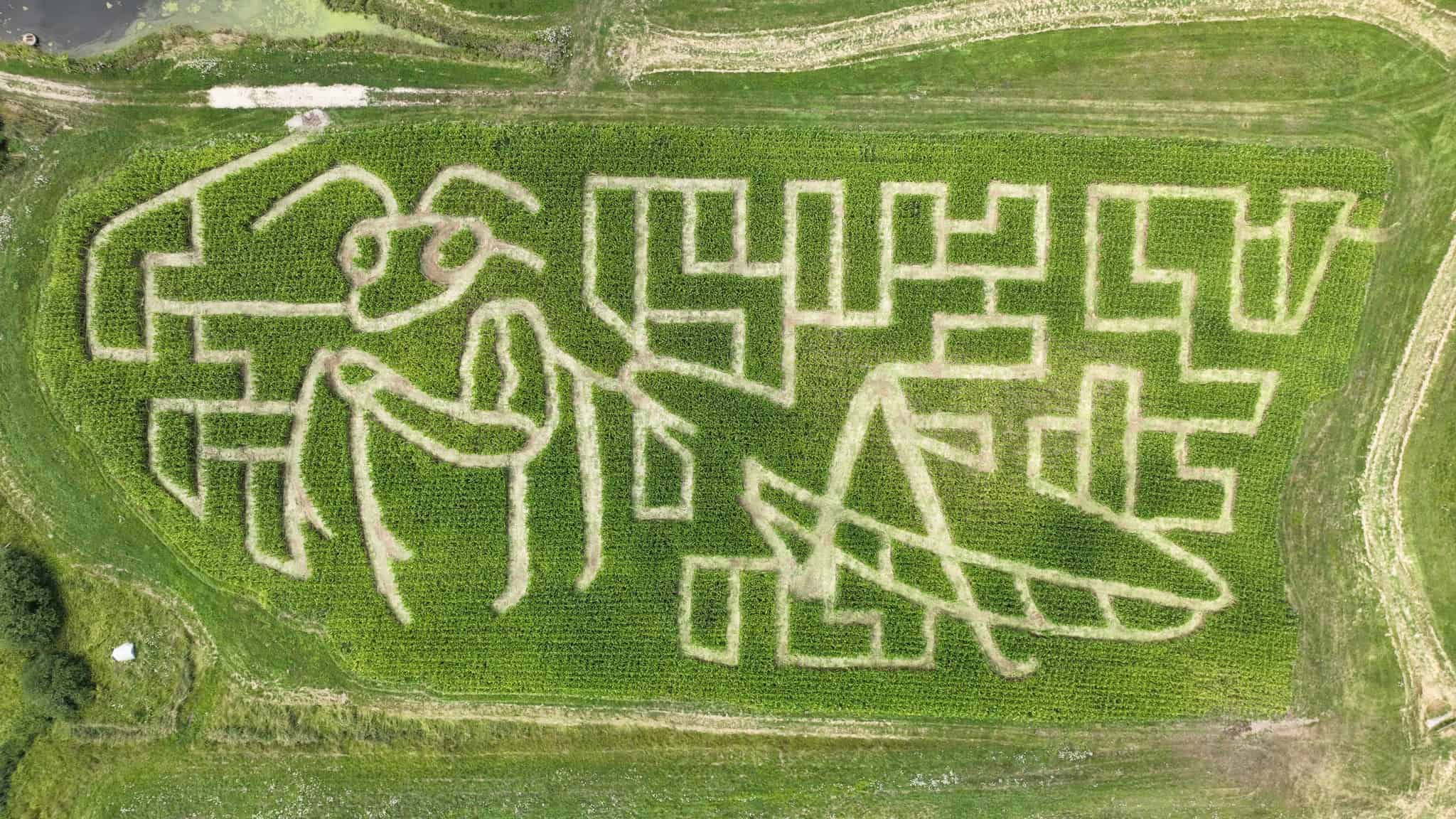 Get Lost at NH Corn Mazes Dow Realty Group, LLC