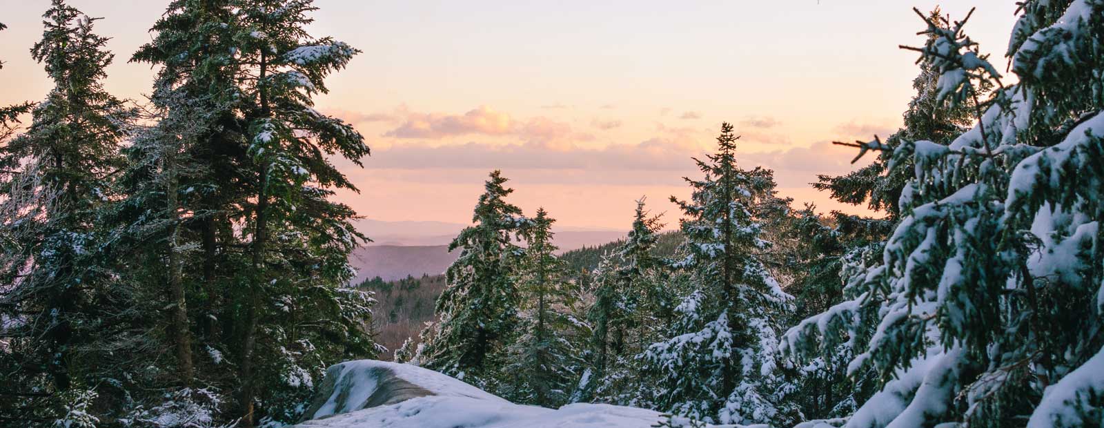 Brandon J. Field Real Estate