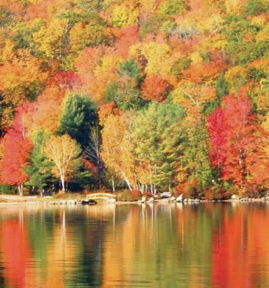 Houses For Sale On Newfound Lake In New Hampshire at Marcia Best blog