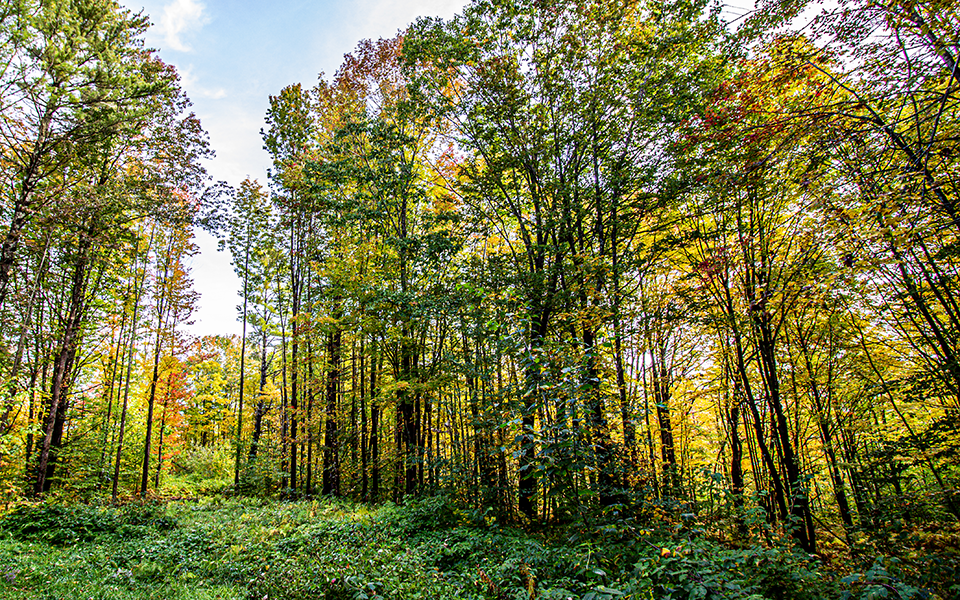 Coldwell Banker Sandy River Realty