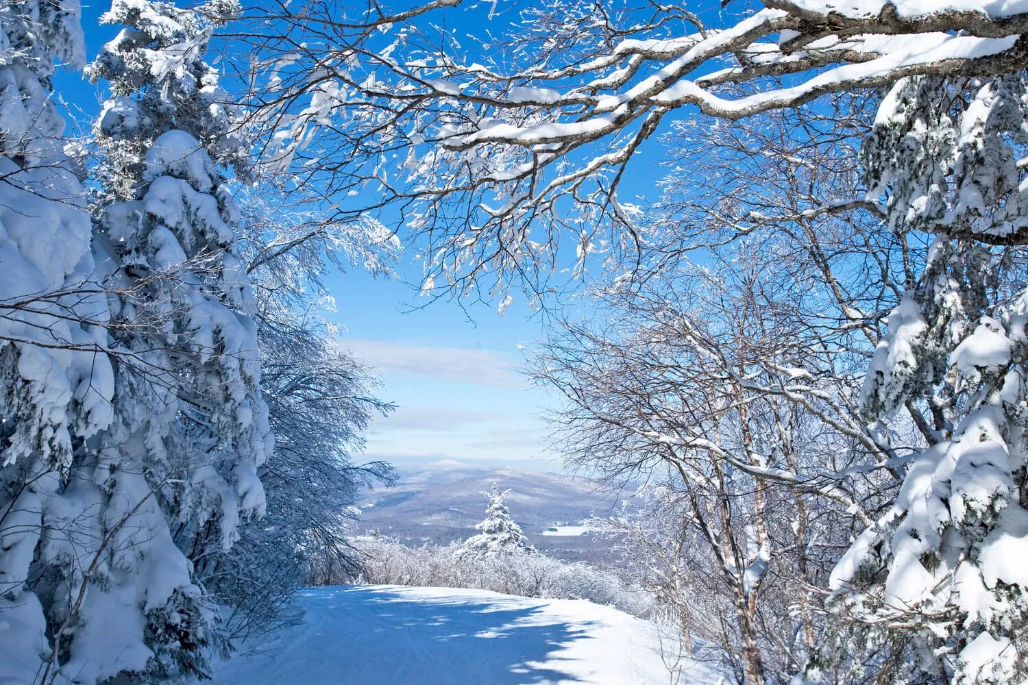 Okemo Real Estate Okemo Condos & Ski Homes Vermont Properties