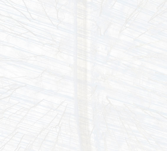 Snyder Donegan Real Estate Group