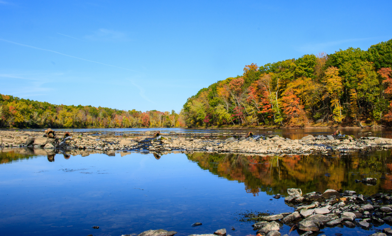 Upper Cape Realty Upper Cape Realty