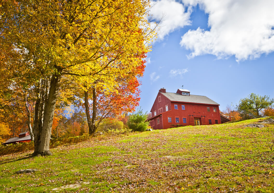 Upper Cape Realty Upper Cape Realty