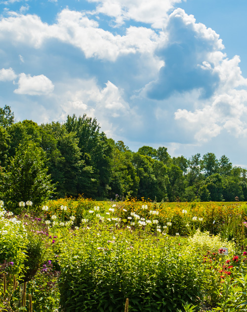 St. Albans Vermont Homes & Real Estate Poquette Realty