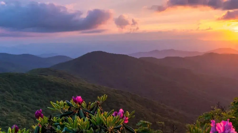 Asheville NC Homes For Sale Mosaic Realty