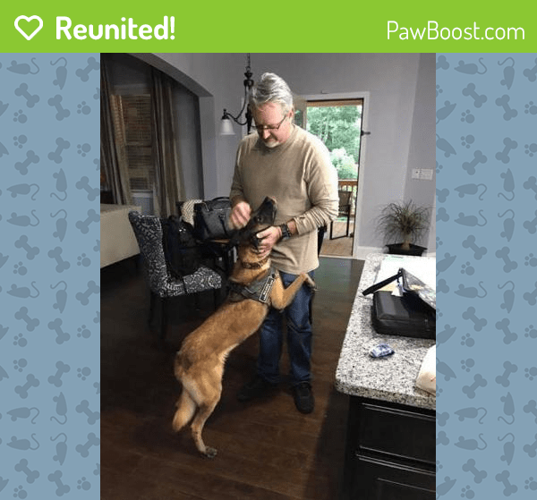 Reunited Male Dog in Williamston, SC 29697 (ID 4655325) PawBoost