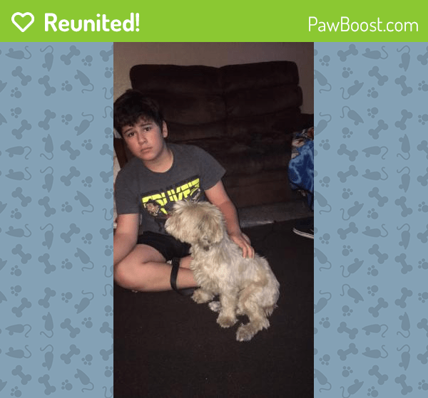 Reunited Female Dog in Las Vegas, NV 89115 (ID 4675145) PawBoost