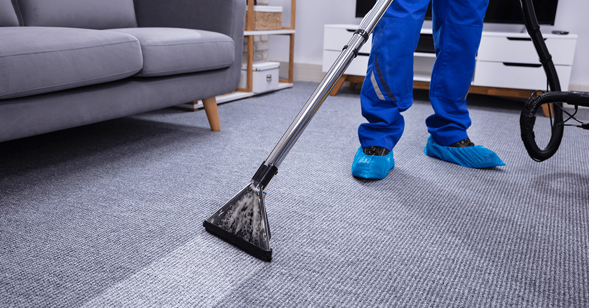 Why Does My Carpet Smell Worse After Cleaning? Five Star Rated