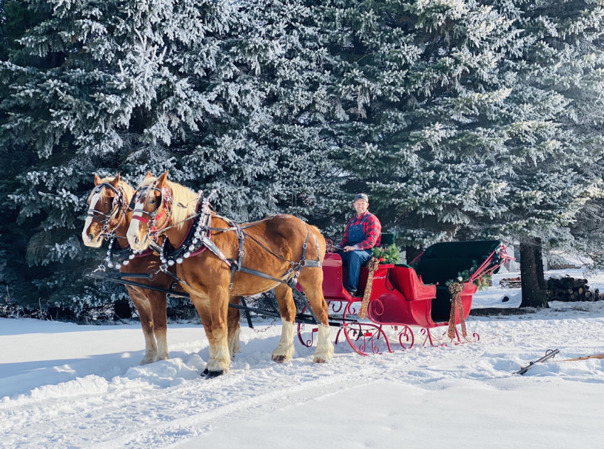 Hire Smith Carriage Co. Horse Drawn Carriage in Isanti, Minnesota