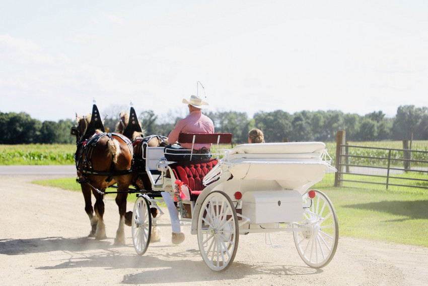 Hire Smith Carriage Co. Horse Drawn Carriage in Isanti, Minnesota