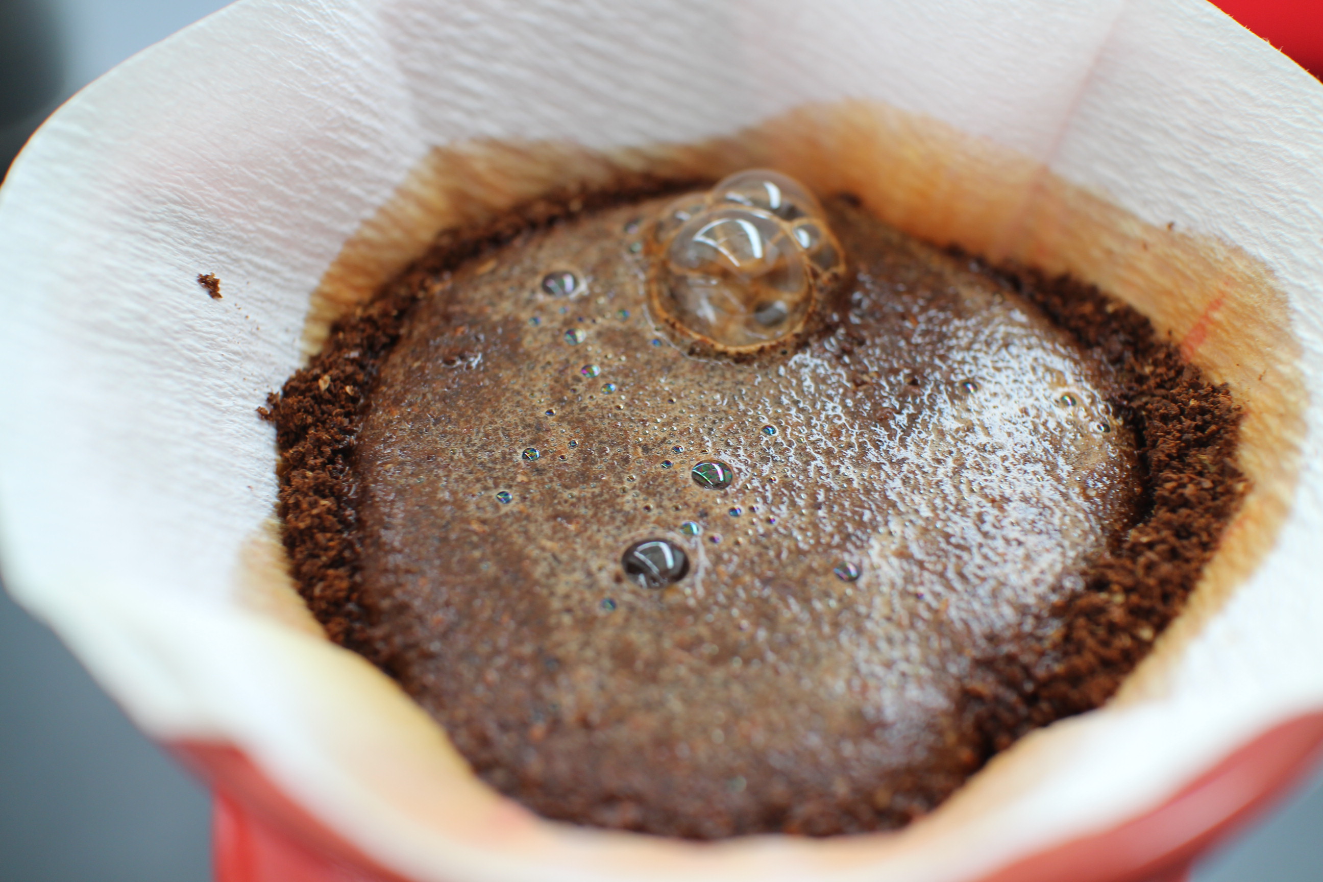 Blind coffee tasting Coffee A/B testing first taste Gingerlime