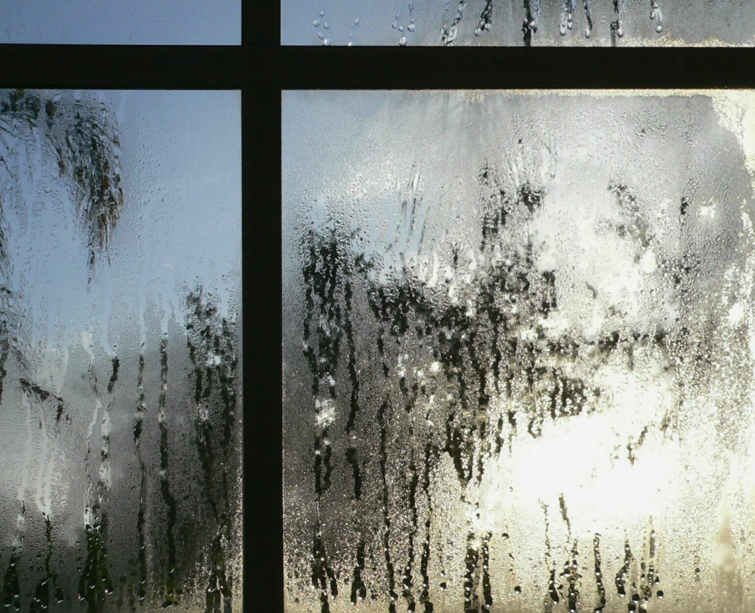 Great Answers Why is there condensation on my new windows