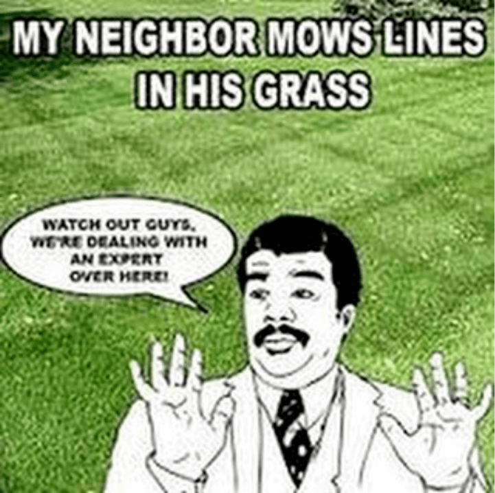 Neighbour Memes