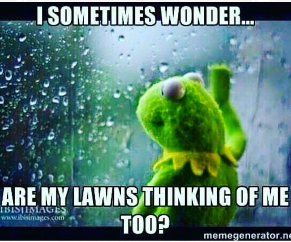25 Best Memes About Kermit Looking Kermit Looking Memes