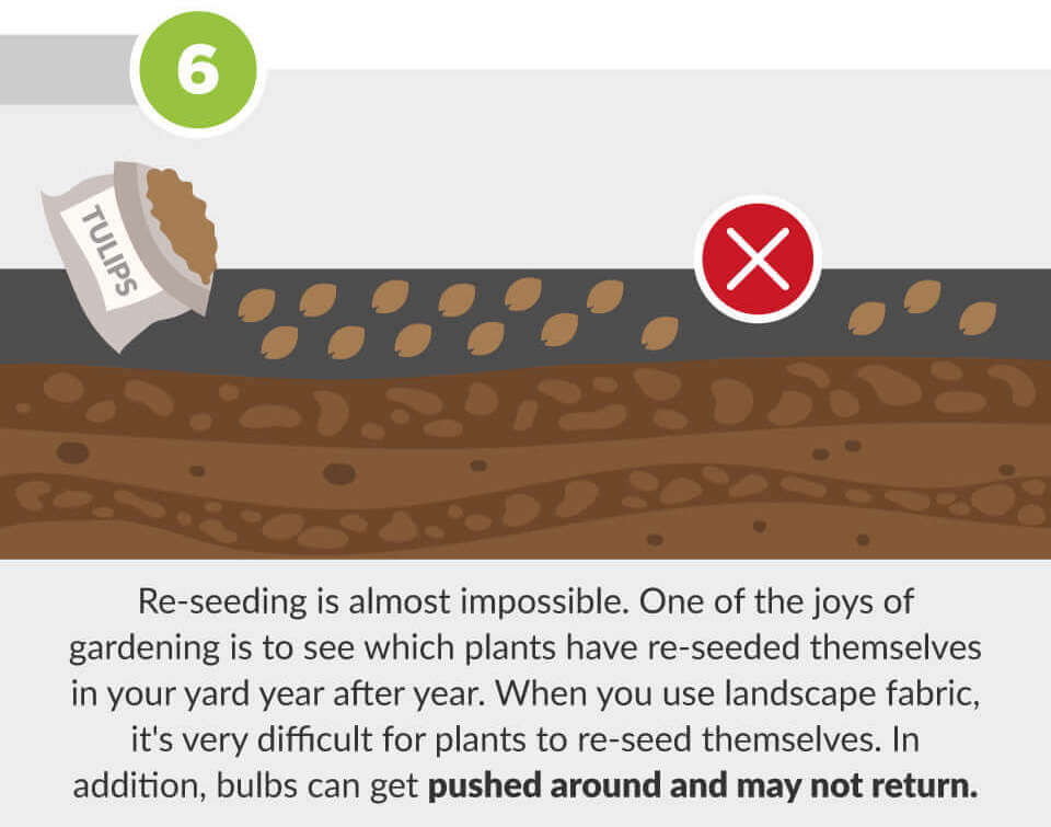 6 reasons why landscape fabric is a bad idea