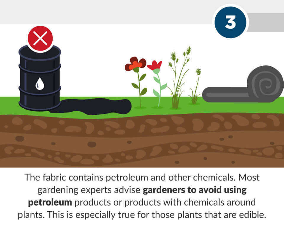 6 reasons why landscape fabric is a bad idea GreenPal