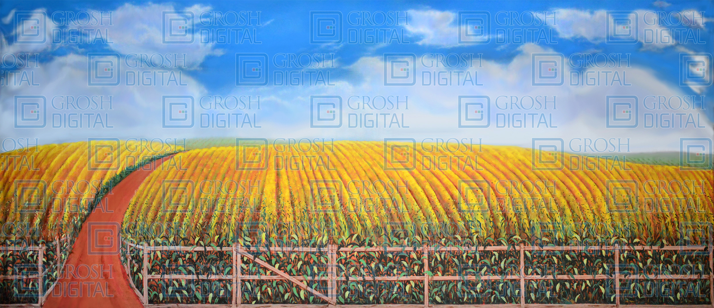 Cornfield Projected Backdrops Grosh Digital